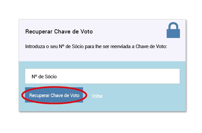 05_25_votacao_img2